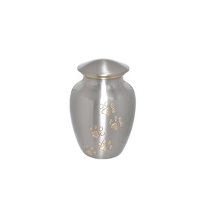 Silver with Gold Paws Urn for Dog Cat PetCremation Ashes Cremains Memorial