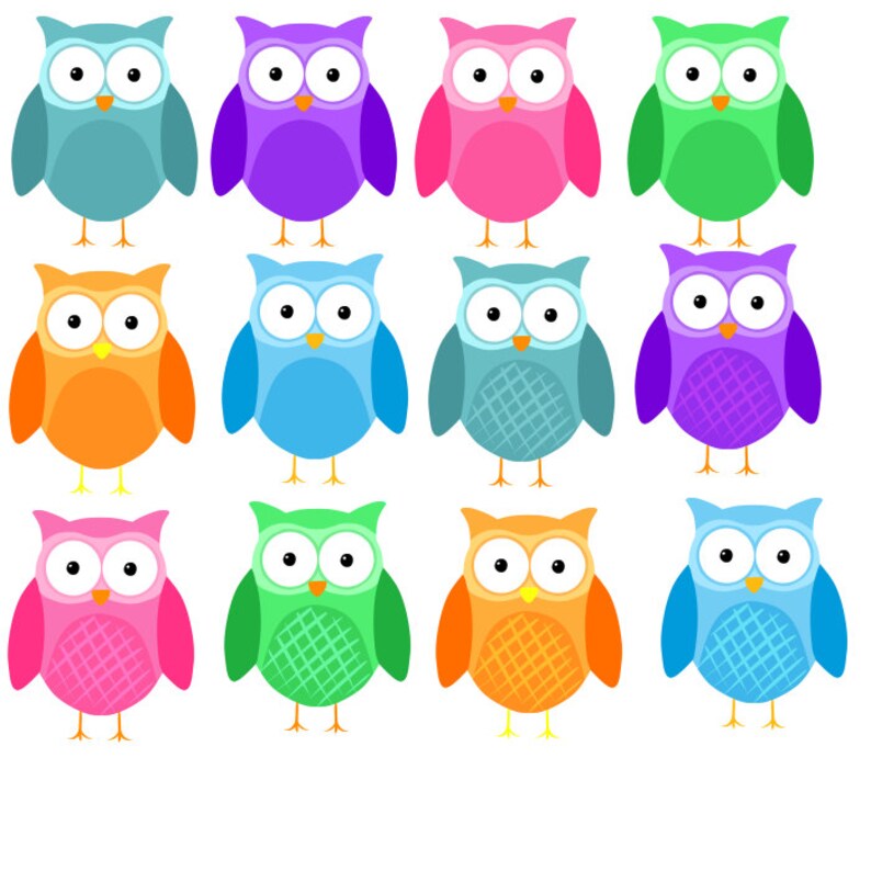 Mini Owl Clipart in 6 Colours