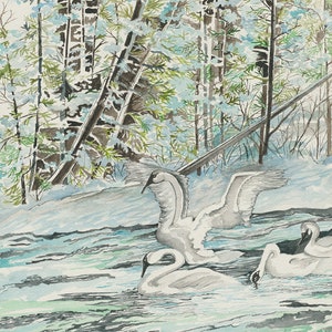 Cut River Swan Family