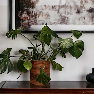 Pot Cover Made from Natural Wood