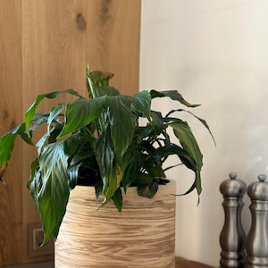 Übertöpfe aus Holz für Blumentöpfe - Vielseitige Designs