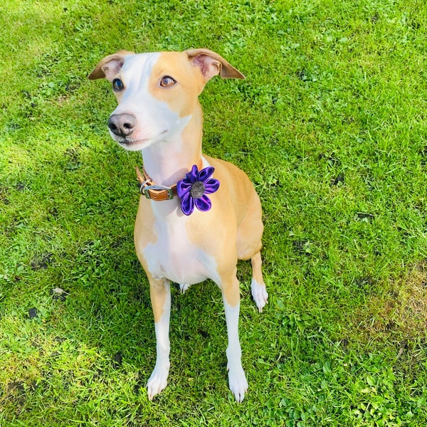 Dog Collar Flower, Purple Poppy, Animals At War Poppy Collar Accessory, Gifts for Dog, Flower for Dog Collar