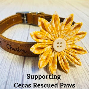 Dog Collar Flower supporting Cecas Rescued Paws, Flower For Dog Collar, Dog Collar Accessories, Pet Collar Accessory, Dog Accessories