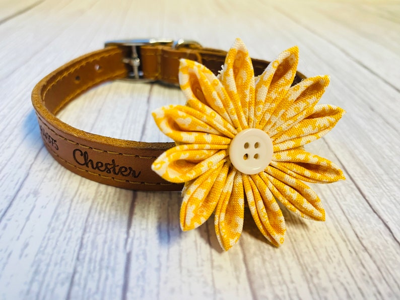 Dog Collar Flower Supporting Cecas Rescued Paws, Flower for Dog Collar