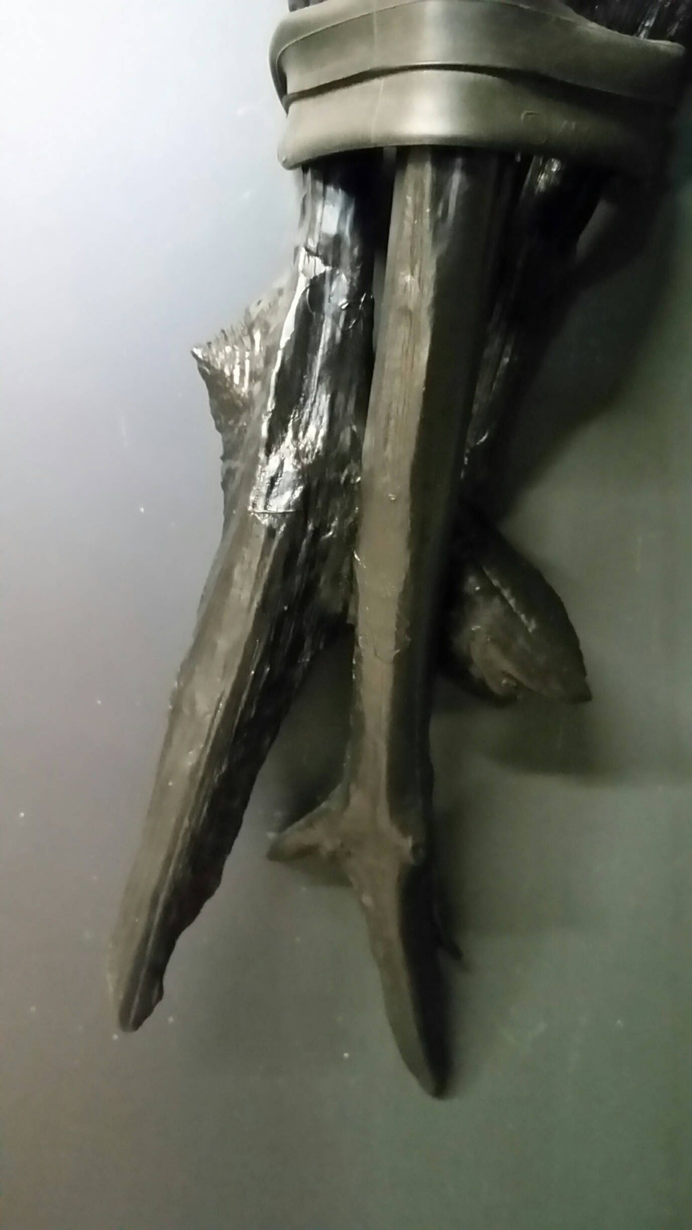 RELIC - Etsy