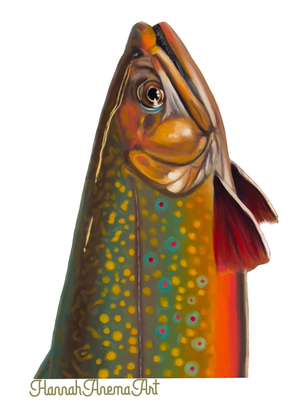 3d Rainbow Trout Art 