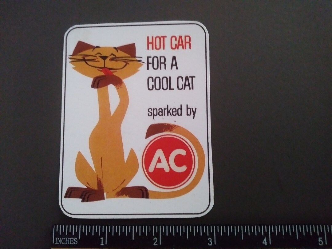A C Cool Cat Vintage Style Racing Decal Sticker - Tool Box Sticker ...