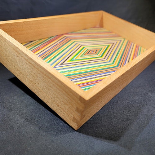 Recycled Skateboard shops Tray