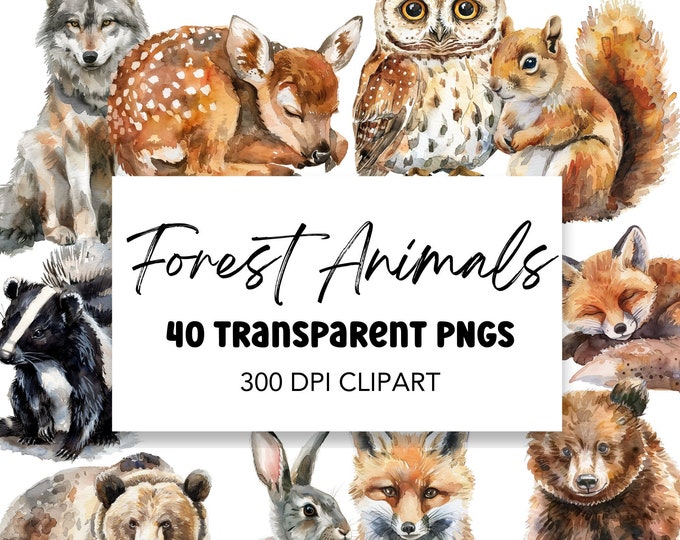 Watercolor Forest Animal Clipart Bundle, Digital Download Commerical ...
