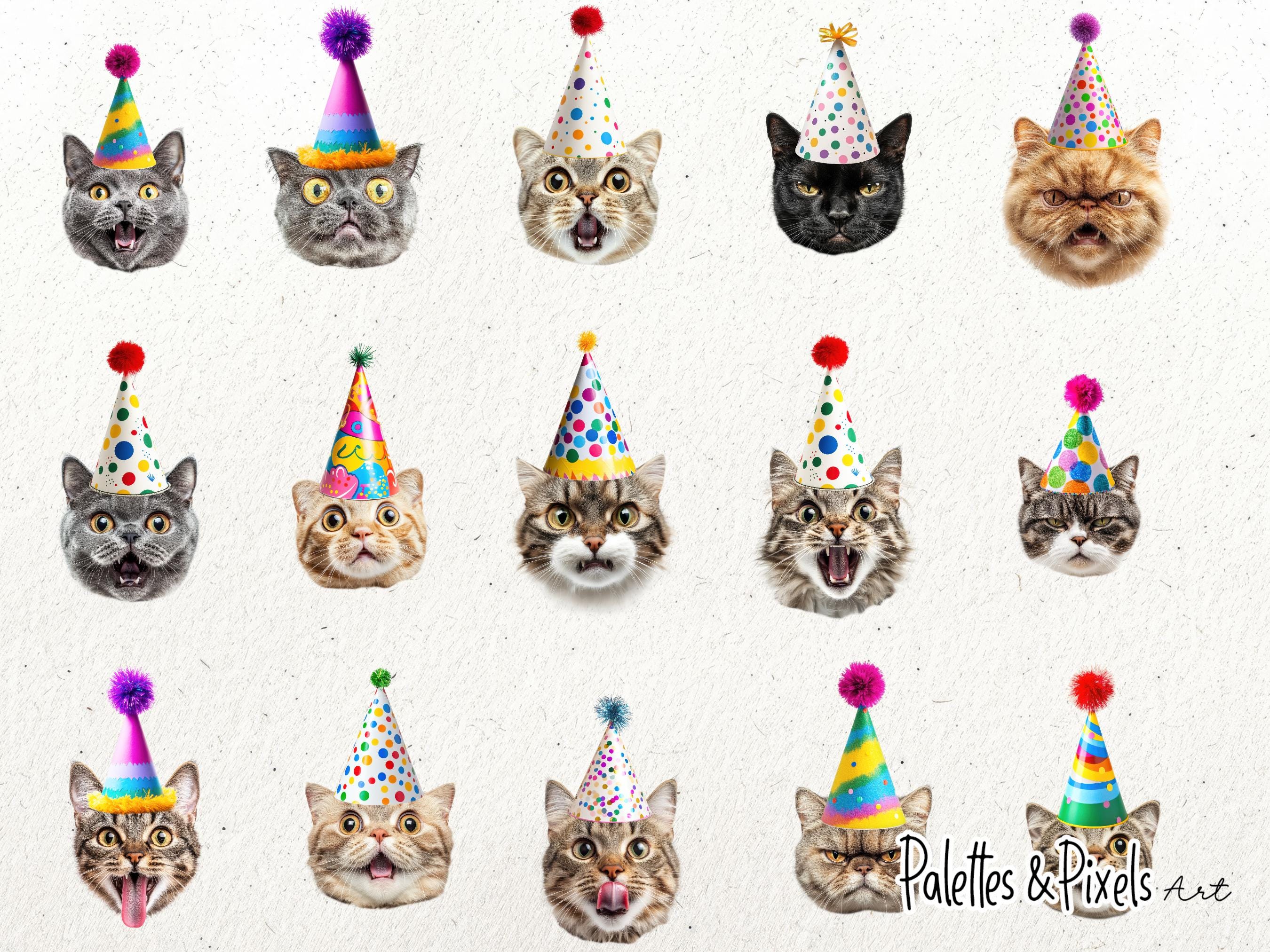 as much fun : cat with party hat and horn funny :... Cats in Party Hats, Funny Realistic Cats in Silly Party Hat Digital ...