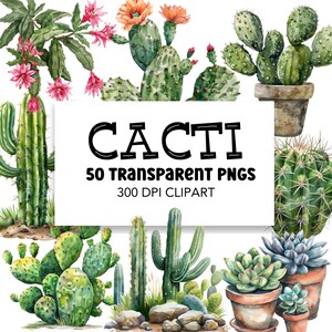 Paquete de imágenes prediseñadas de acuarela de cactus, PNG comerciales