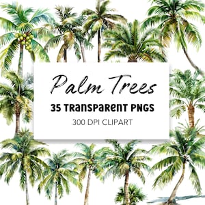 Palmen Aquarell Clipart Bundle, digitaler Download kommerzielle Nutzung Kunst, PNG Clip Art Pack Tropischer Baum