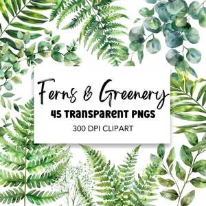 Ensemble de cliparts aquarelle fougère et verdure, téléchargement numérique pour usage commercial, clipart PNG Pack Floral verts