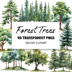 Forest Tree Watercolor Clipart Bundle, Digital Download Commerical Use art, PNG Clip art Pack Woodland Forest Clipart
