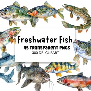 Paquete de imágenes prediseñadas de peces de agua dulce, uso comercial de imágenes prediseñadas de pesca PNG