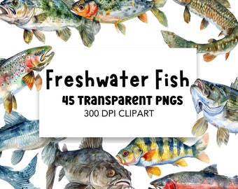 Freshwater Fish Clipart Bundle, Fishing Clipart Commerical Use PNG