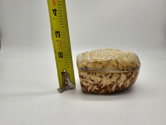 Nautilus Shell Trinket Box with Lid - image 8