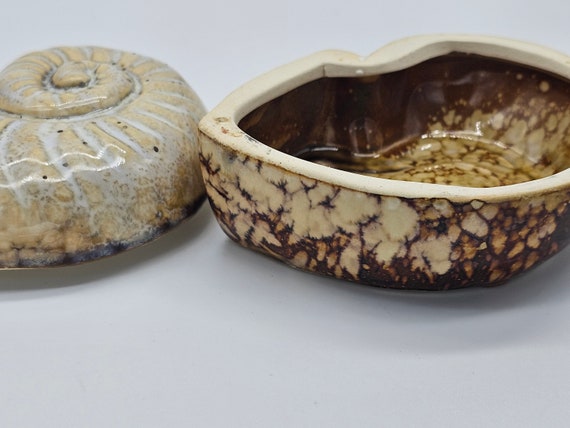 Nautilus Shell Trinket Box with Lid - image 5