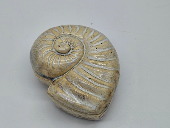 Nautilus Shell Trinket Box with Lid - image 1