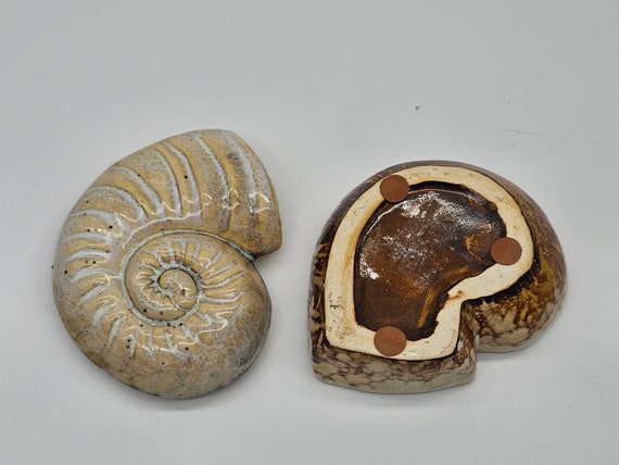 Nautilus Shell Trinket Box with Lid - image 4