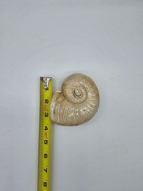 Nautilus Shell Trinket Box with Lid - image 7