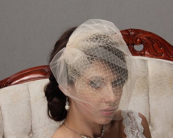 Bridal birdcage veil, Champagne blusher veil, Wedding headpiece, Bridal hair piece, Wedding headdress, Tulle veil headpiece, Ivory veil