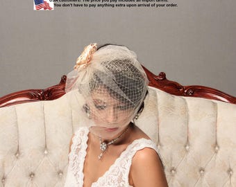 Bridal birdcage veil, Champagne blusher veil, Wedding headpiece, Bridal hair piece, Wedding headdress, Tulle veil headpiece, Ivory veil