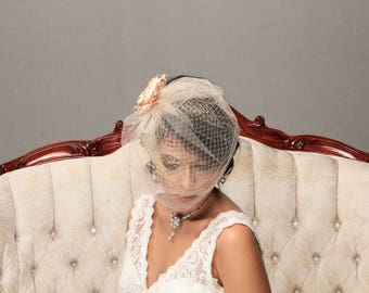Bridal birdcage veil, Champagne blusher veil, Wedding headpiece, Bridal hair piece, Wedding headdress, Tulle veil headpiece, Ivory veil