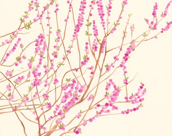 Pink Cherry Blossom Art Print