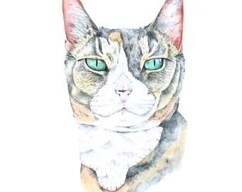 Custom Pet Portrait Painting, Cat Art, 8 x 8 inches