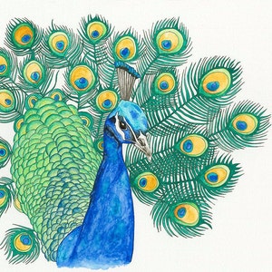 Peacock Watercolor Painting