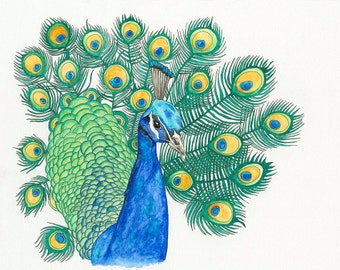 Peacock Watercolor Painting