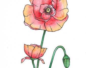 Red Poppy Flower Watercolor Painting
