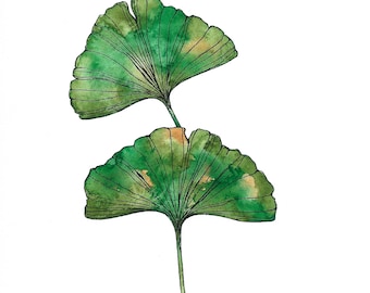 Ginkgo Leaf Watercolor Painting