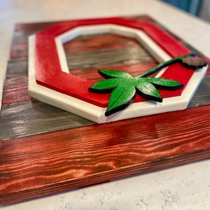 Ohio State 3D wooden sign.