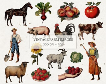 Vintage Farm Clip Art | Antique Clip Art | Food Illustrations | Animal Illustrations