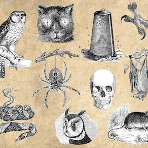 Vintage Halloween Clip Art Illustrations II: Antique Images | Scrapbook Elements | Digital Download