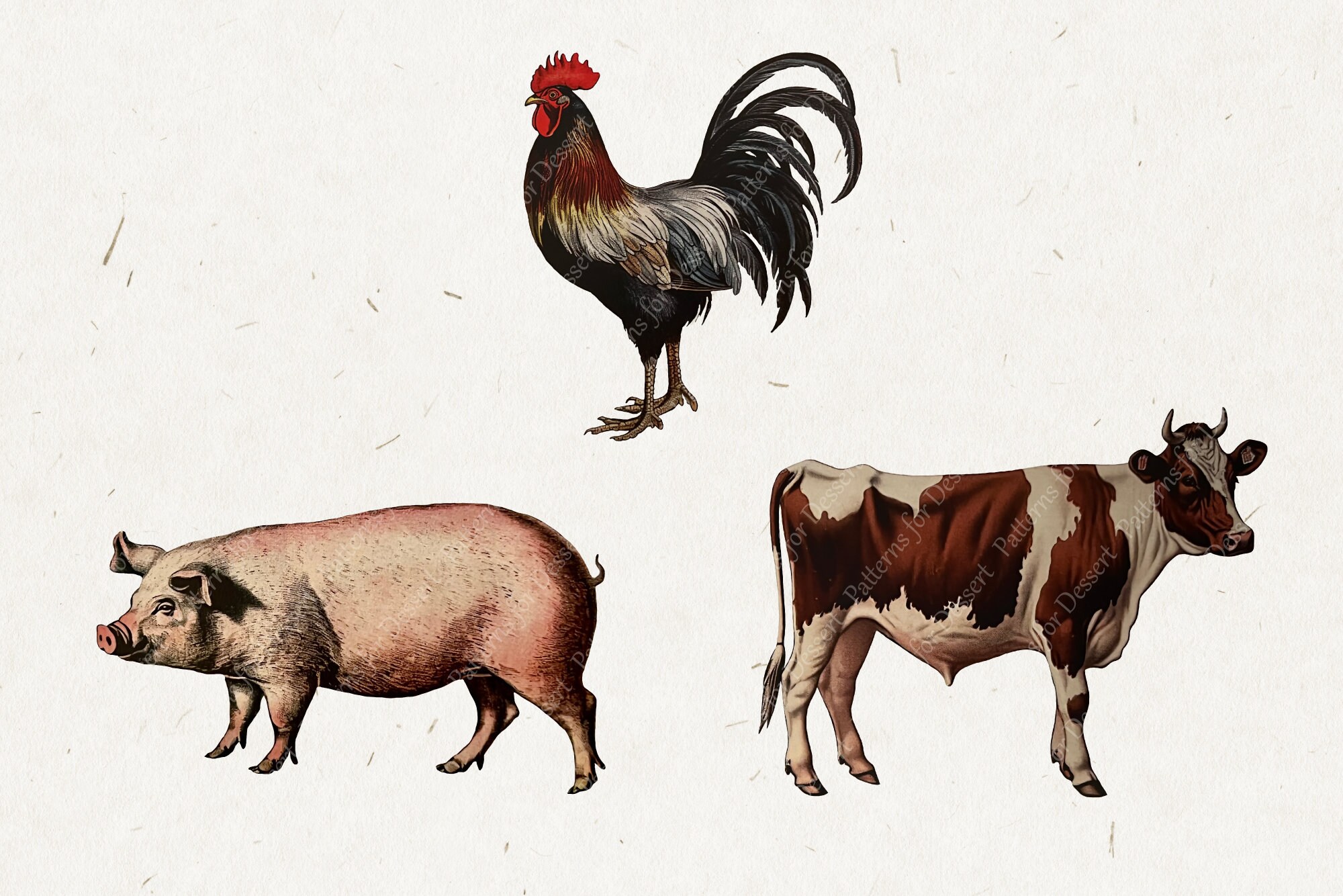 Vintage Farm Clip Art | Antique Clip Art | Food Illustrations | Animal