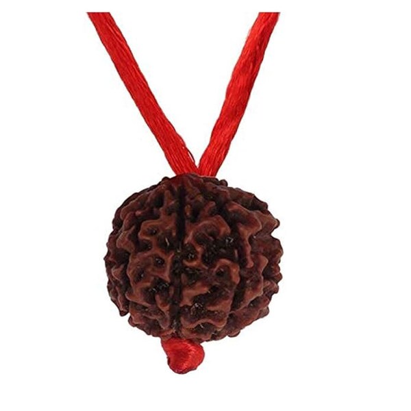 Natural Certified Nepali Rudraksha Simple Pendant with Red Thread Shiva Astrology Jewellery for Men and Women(Pack of 1)