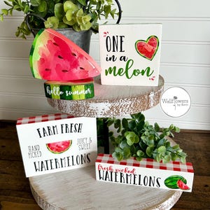 Gelaagde dienbladset watermeloen - schalenset - zomerdecor - gelaagde ladebundel - watermeloenborden - decor houten bakjes -