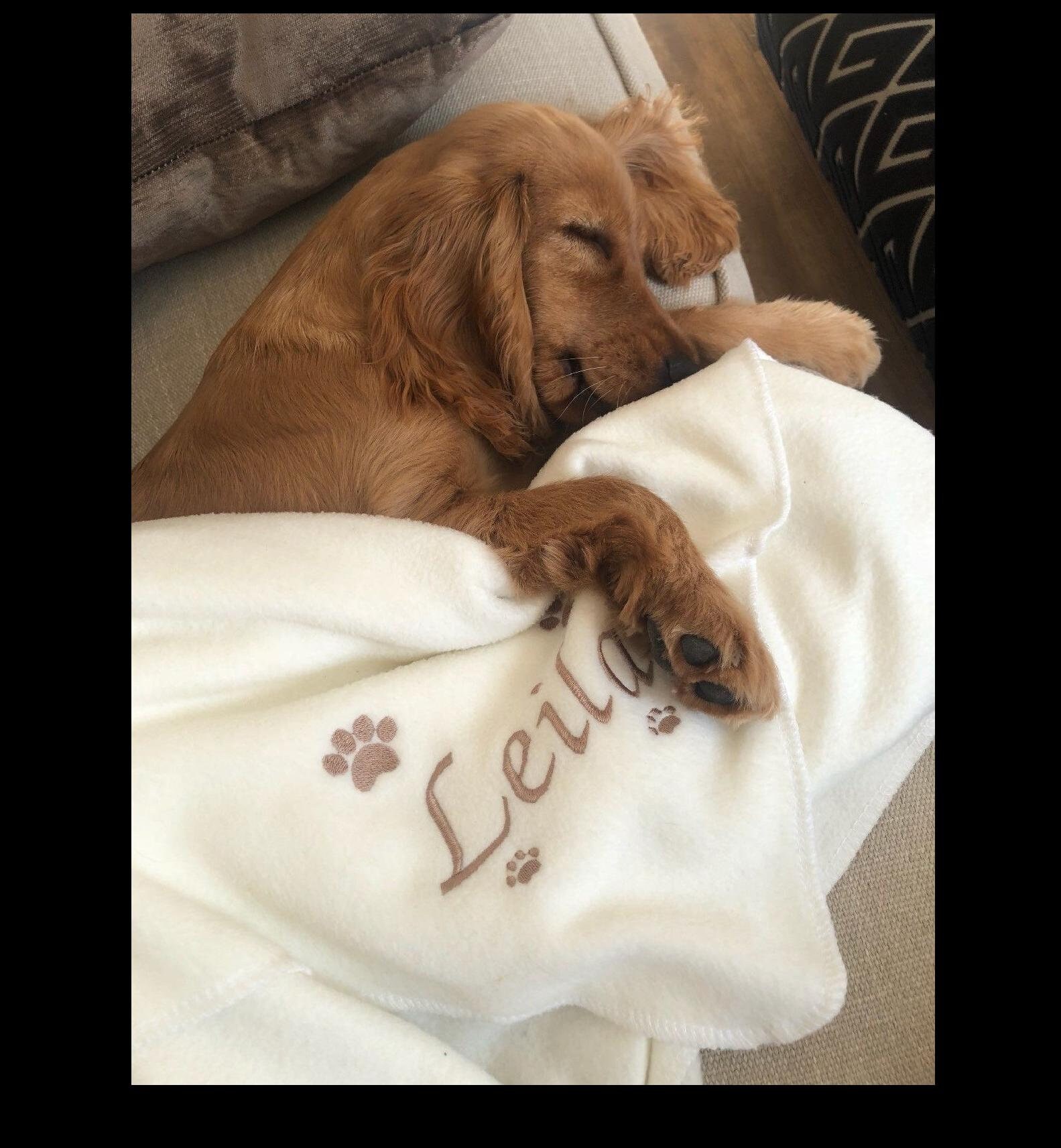 Personalised Dog Blanket Etsy UK