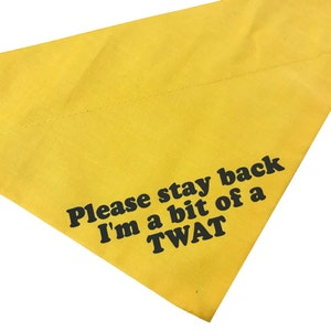 Personalised Dog Bandana Stay Back I'm a bit of a .... or any message