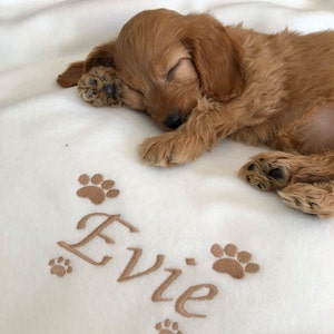 Personalised Dog Blanket