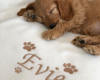 May include: A white fleece blanket with brown embroidered paw prints and the name "Evie" on it. A small, brown puppy is sleeping on the blanket.