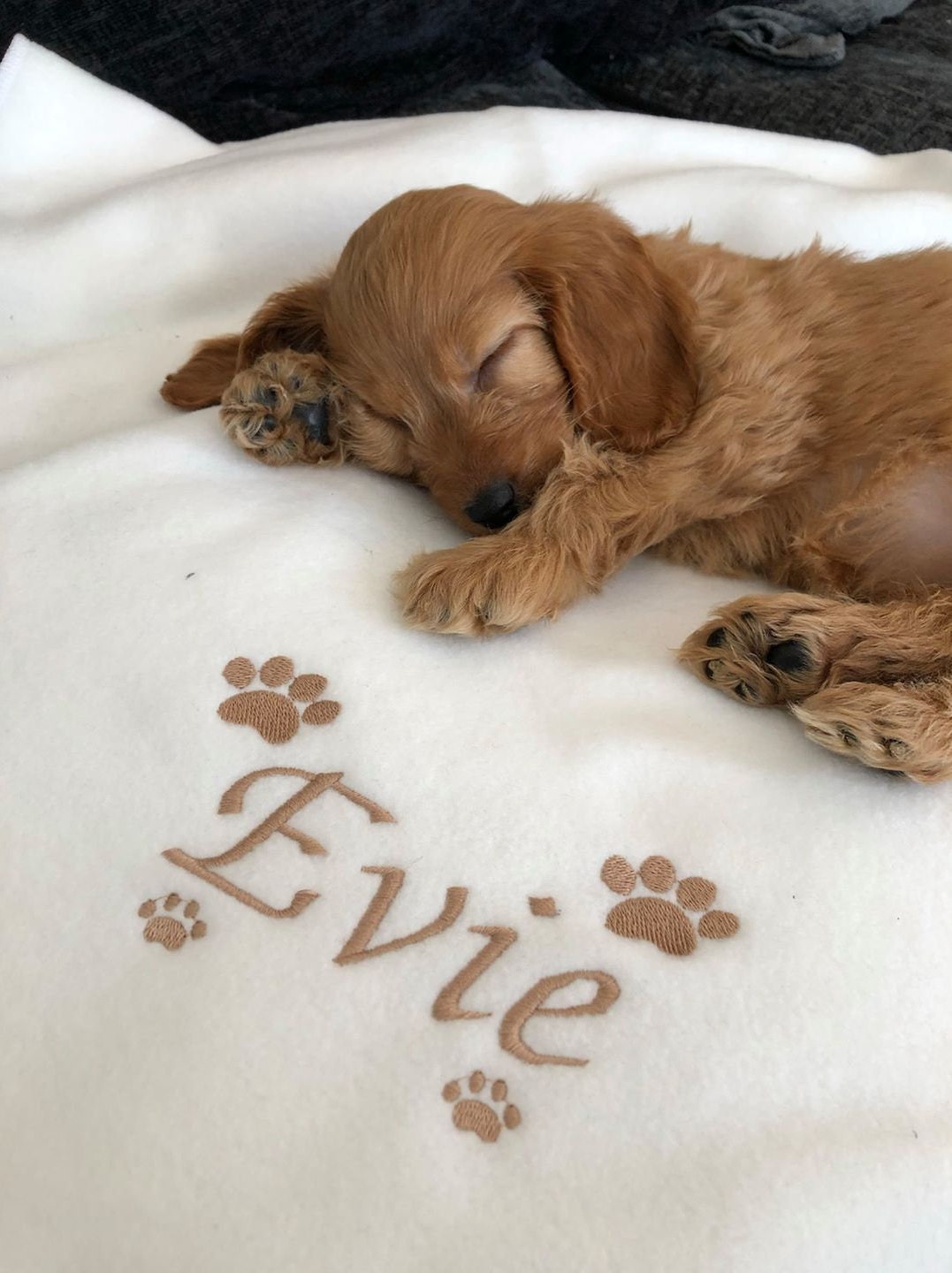 personalised dog blankets