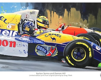 アイルトン・セナ　F1 アートポスター　クレイグ・ワーウィック絵画　リトグラフ 13/Ω004☆同梱不可☆アイルトン・セナ F1 アートポスター