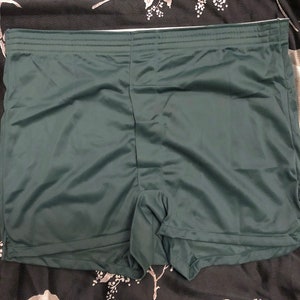 Vintage 1970s Nylon Tricot Boxer Shorts by Munsingwear Retro Boho Hippie Short Boxers Silky Nylon Feel Green Size 34