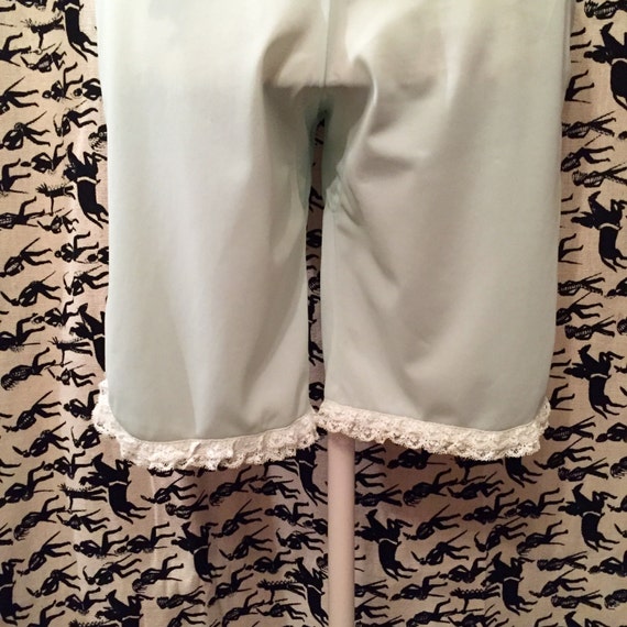 Vintage 1960s Vanity Fair Baby Blue Nylon Bloomers Pa… Gem