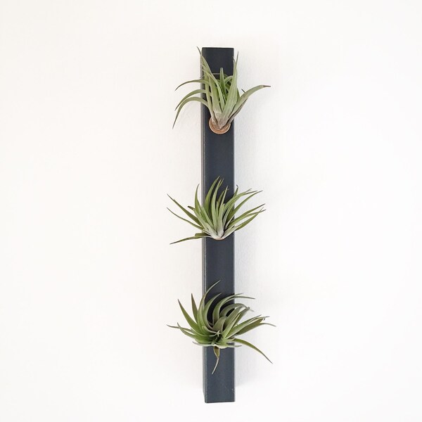 Planter - Air Planters - Vertical Planter - Minimalist planter - Hanging Planter - Wall Planter -Indoor Planter -Air Plant Holder