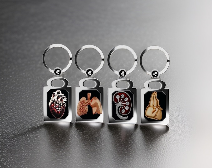 Organ Transplant Survivor Keychain: Heart, Kidney, Liver, Lung Charms